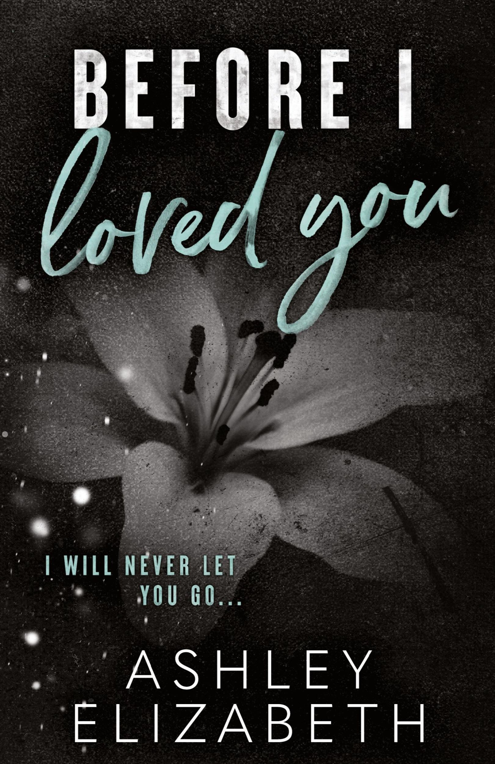 Cover: 9798987759257 | Before I Loved You | Ashley Elizabeth | Taschenbuch | Englisch | 2024