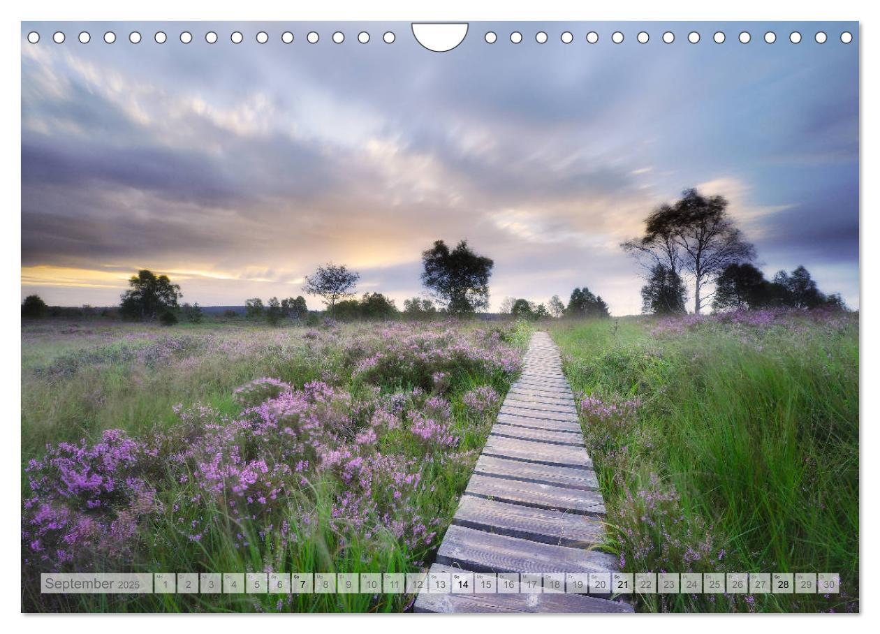 Bild: 9783435409853 | Moore und Bäche in Eifel und Ardennen (Wandkalender 2025 DIN A4...