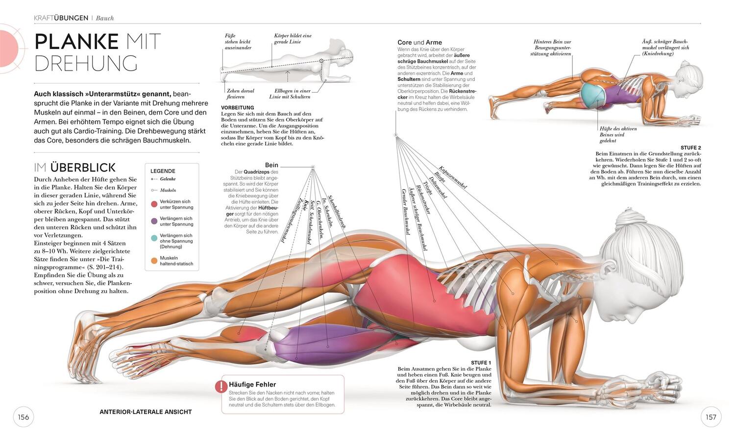 Bild: 9783831042760 | Krafttraining - Die Anatomie verstehen | Austin Current | Taschenbuch