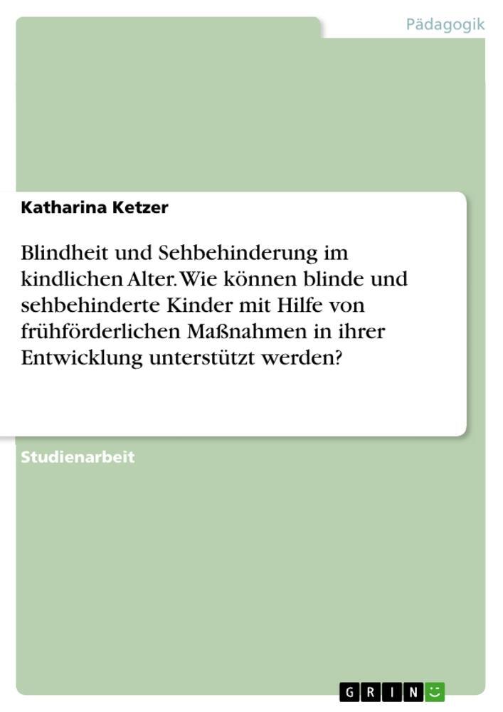 Cover: 9783668228634 | Blindheit und Sehbehinderung im kindlichen Alter. Wie können blinde...