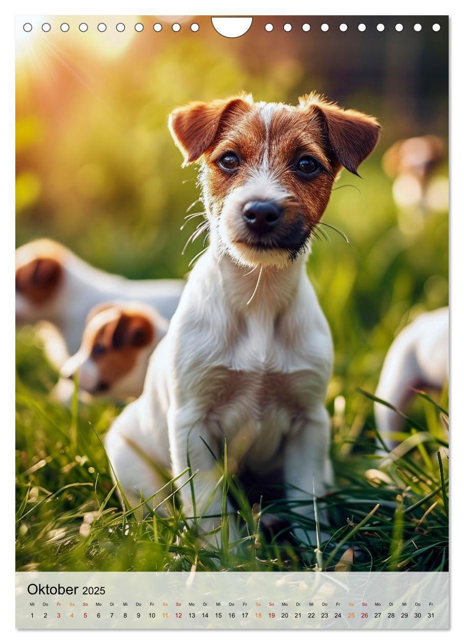 Bild: 9783383778759 | Jack Russel Terrier - furchtlos und viel Selbstvertrauen...