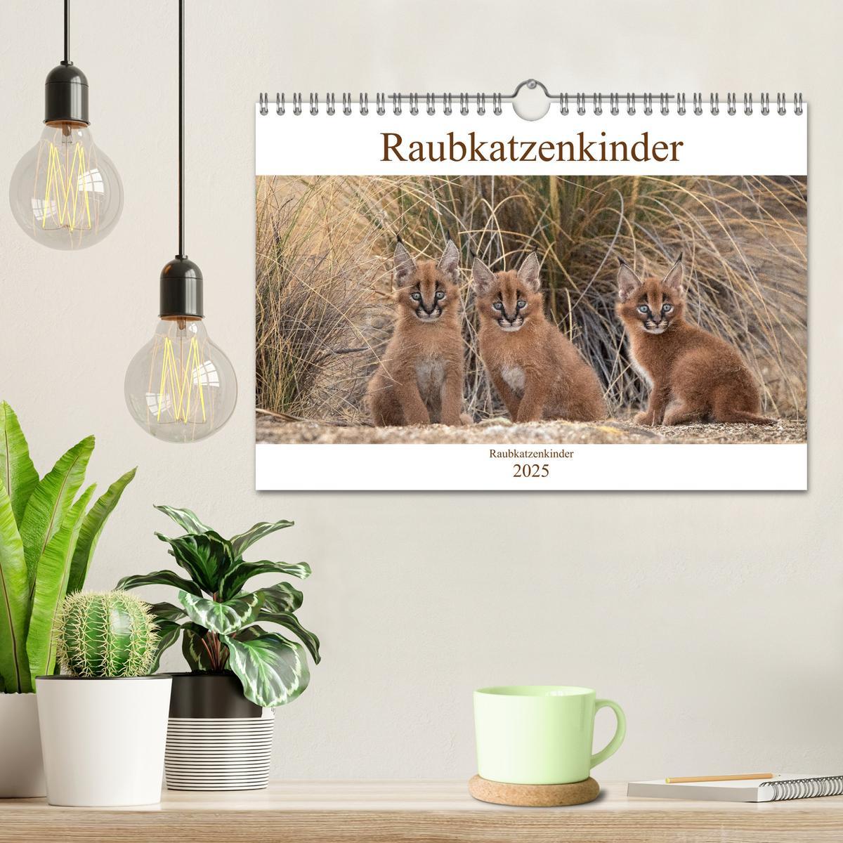 Bild: 9783435328697 | Raubkatzenkinder (Wandkalender 2025 DIN A4 quer), CALVENDO...