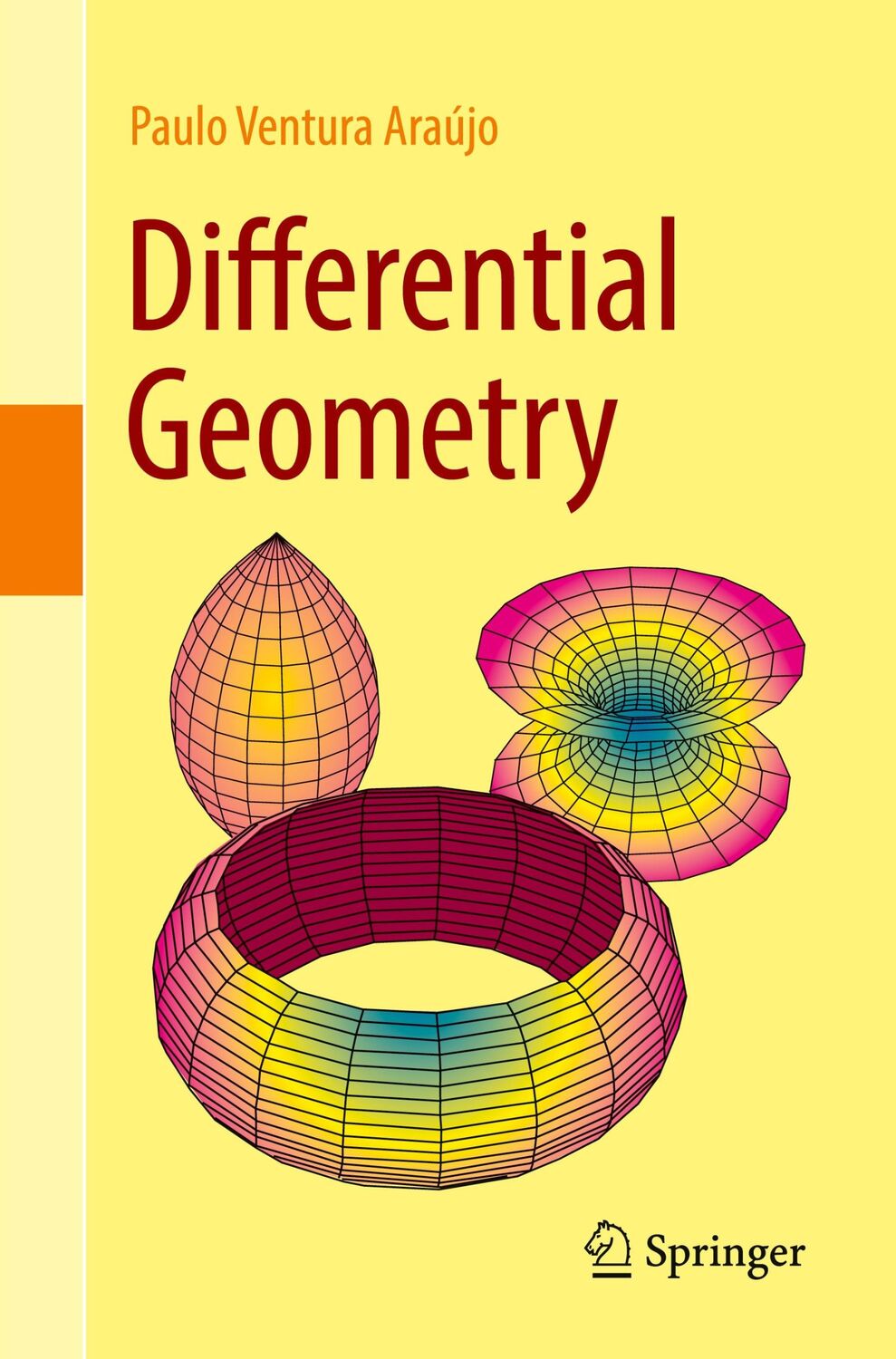 Cover: 9783031623837 | Differential Geometry | Paulo Ventura Araújo | Taschenbuch | Paperback