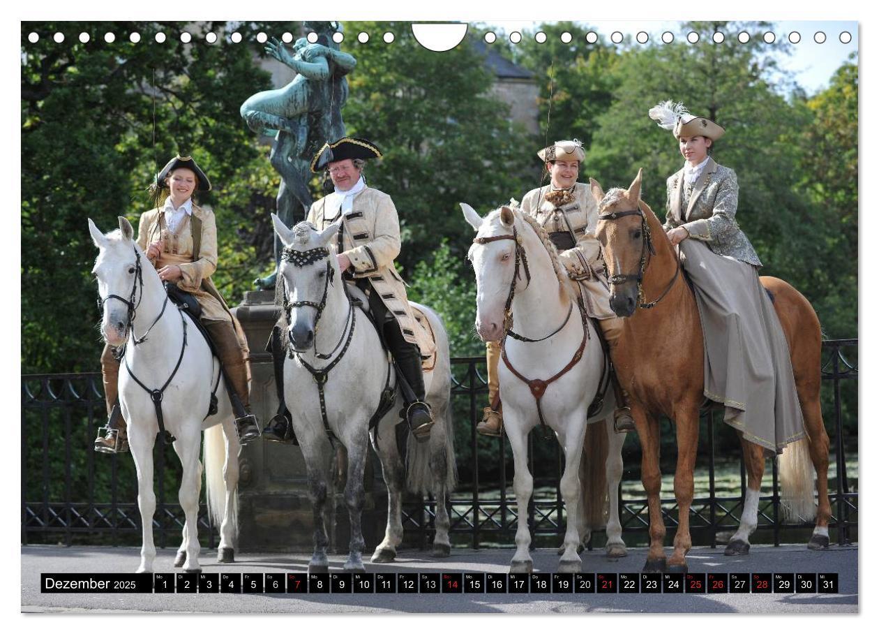 Bild: 9783435556243 | Traumpferde - Fürstliche Hofreitschule Bückeburg (Wandkalender 2025...