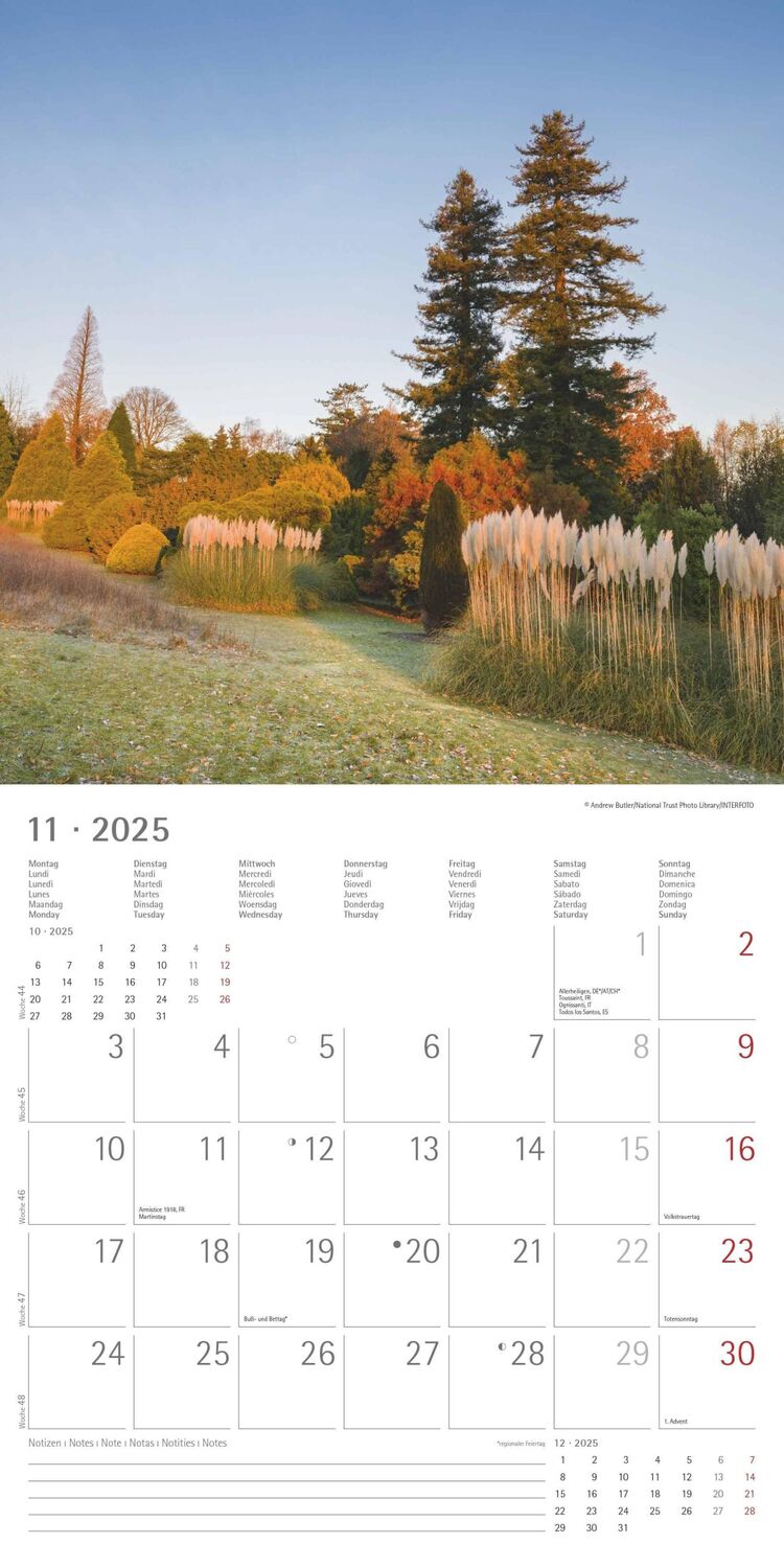 Bild: 4251732340629 | Gartenzauber 2025 - Broschürenkalender 30x30 cm (30x60 geöffnet) -...