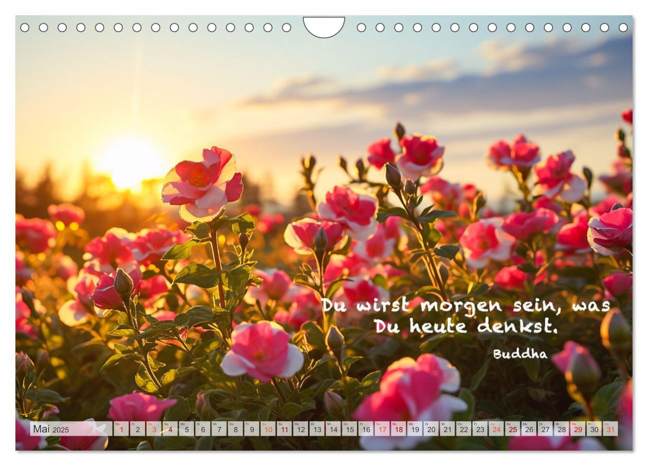 Bild: 9783383869839 | Meditation und innerer Frieden (Wandkalender 2025 DIN A4 quer),...