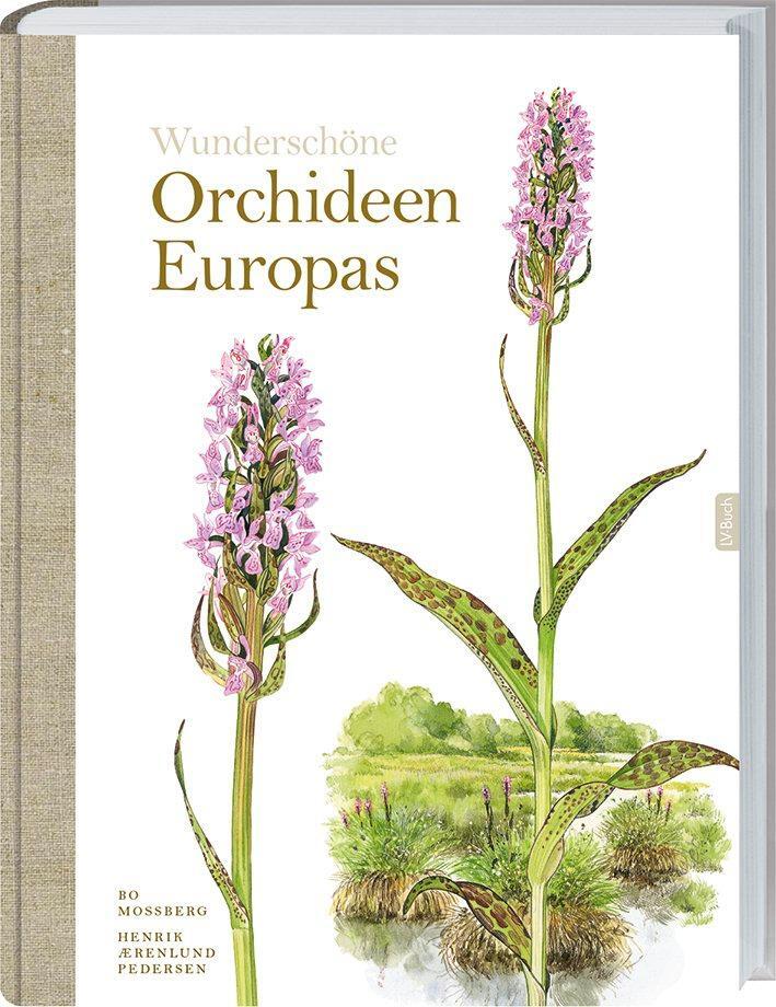 Cover: 9783784354934 | Wunderschöne Orchideen Europas | Bo Mossberg (u. a.) | Buch | 208 S.