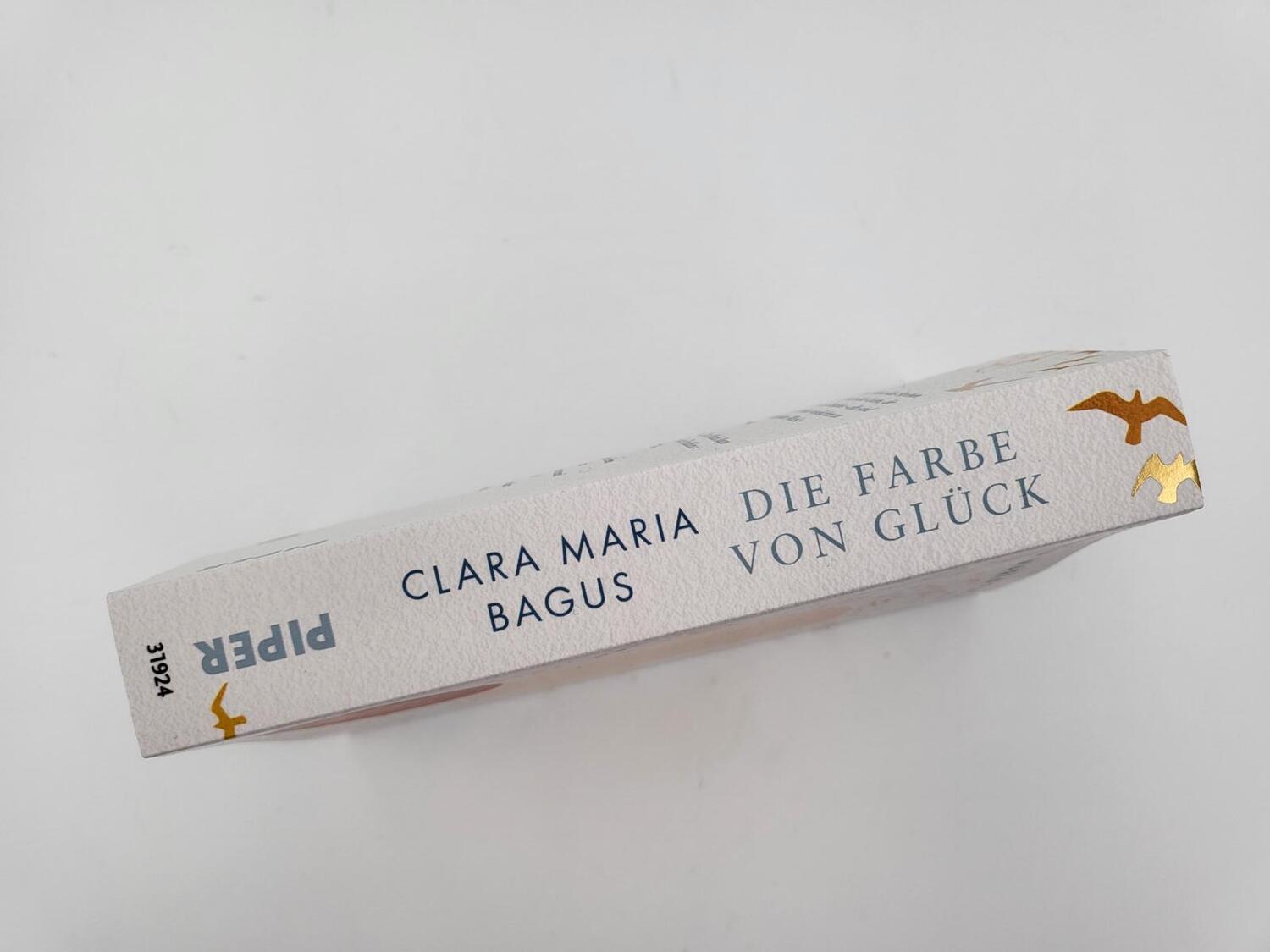 Bild: 9783492319249 | Die Farbe von Glück | Clara Maria Bagus | Taschenbuch | 352 S. | 2022