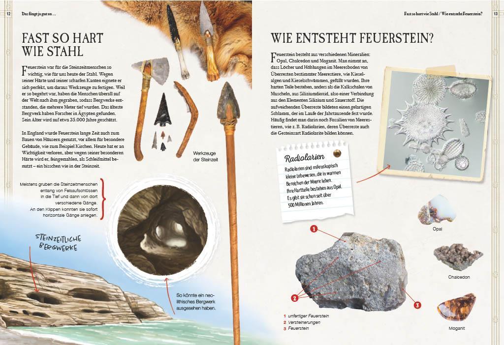 Bild: 9783968080130 | Verborgene Welt der Mineralien | Bekannte und Unbekannte Schätze