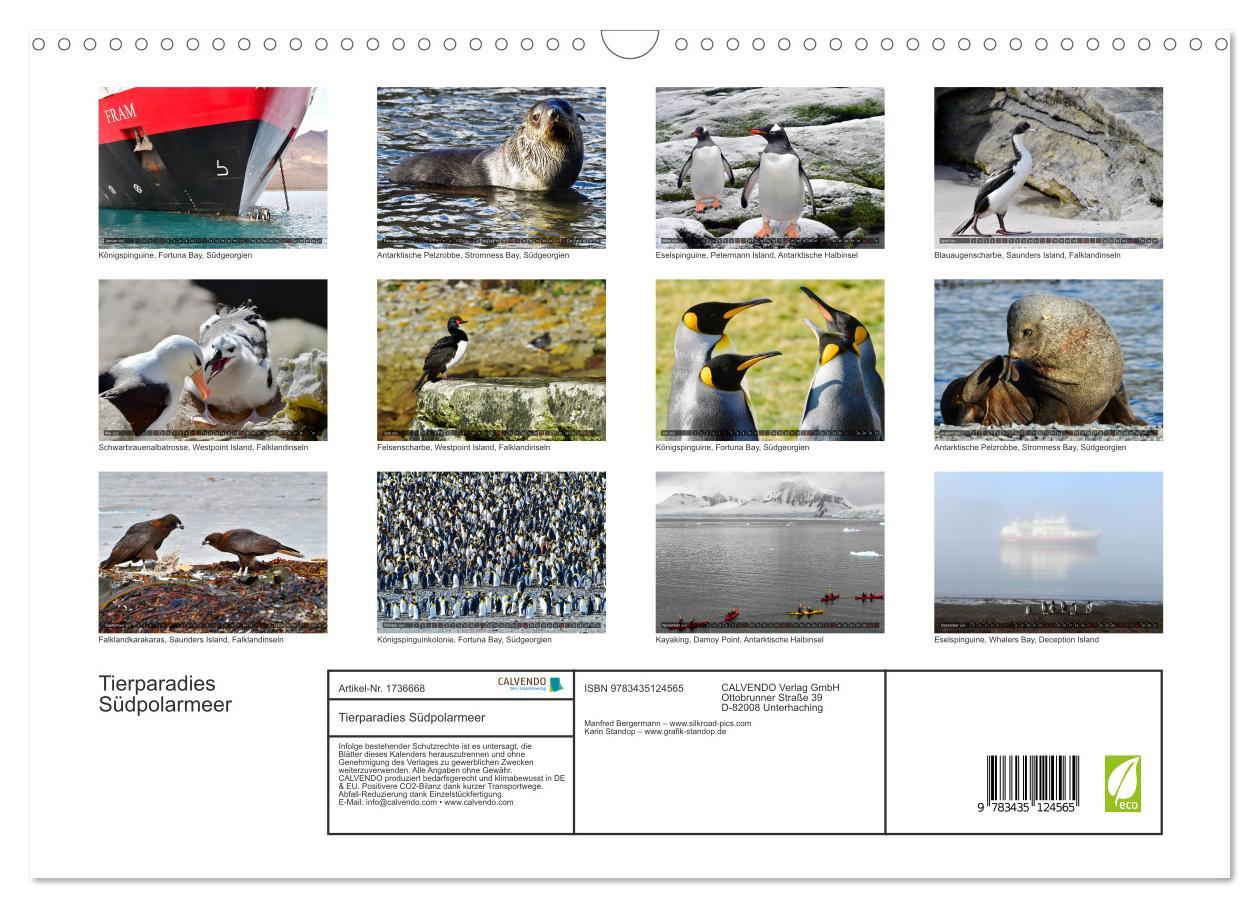 Bild: 9783435124565 | Tierparadies Südpolarmeer (Wandkalender 2025 DIN A3 quer), CALVENDO...