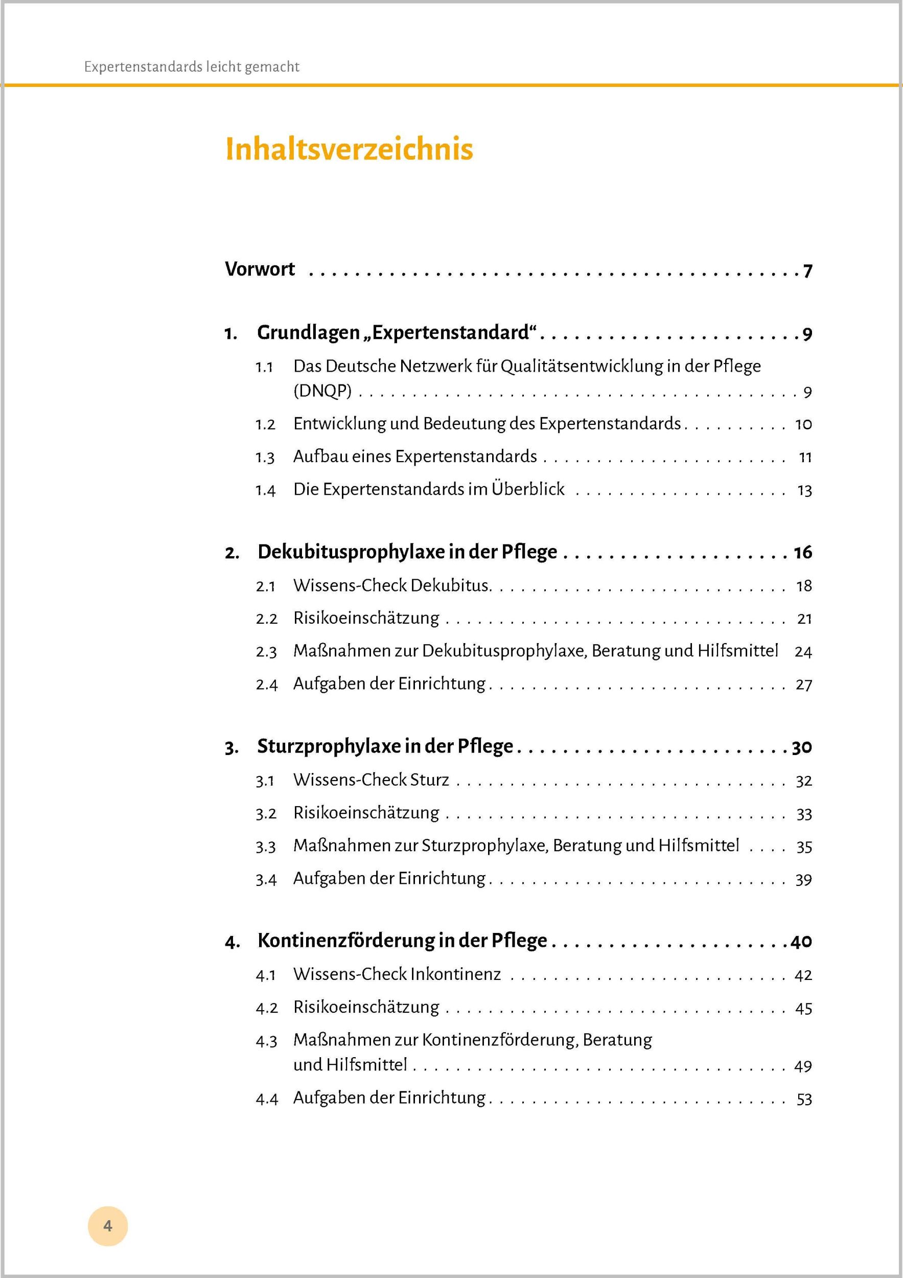 Bild: 9783948106508 | Expertenstandards leicht gemacht | Björn Philipp | Taschenbuch | 2024