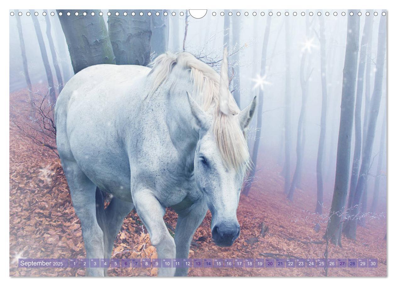 Bild: 9783435307562 | Einhorn Love - Fantasiewelt (Wandkalender 2025 DIN A3 quer),...