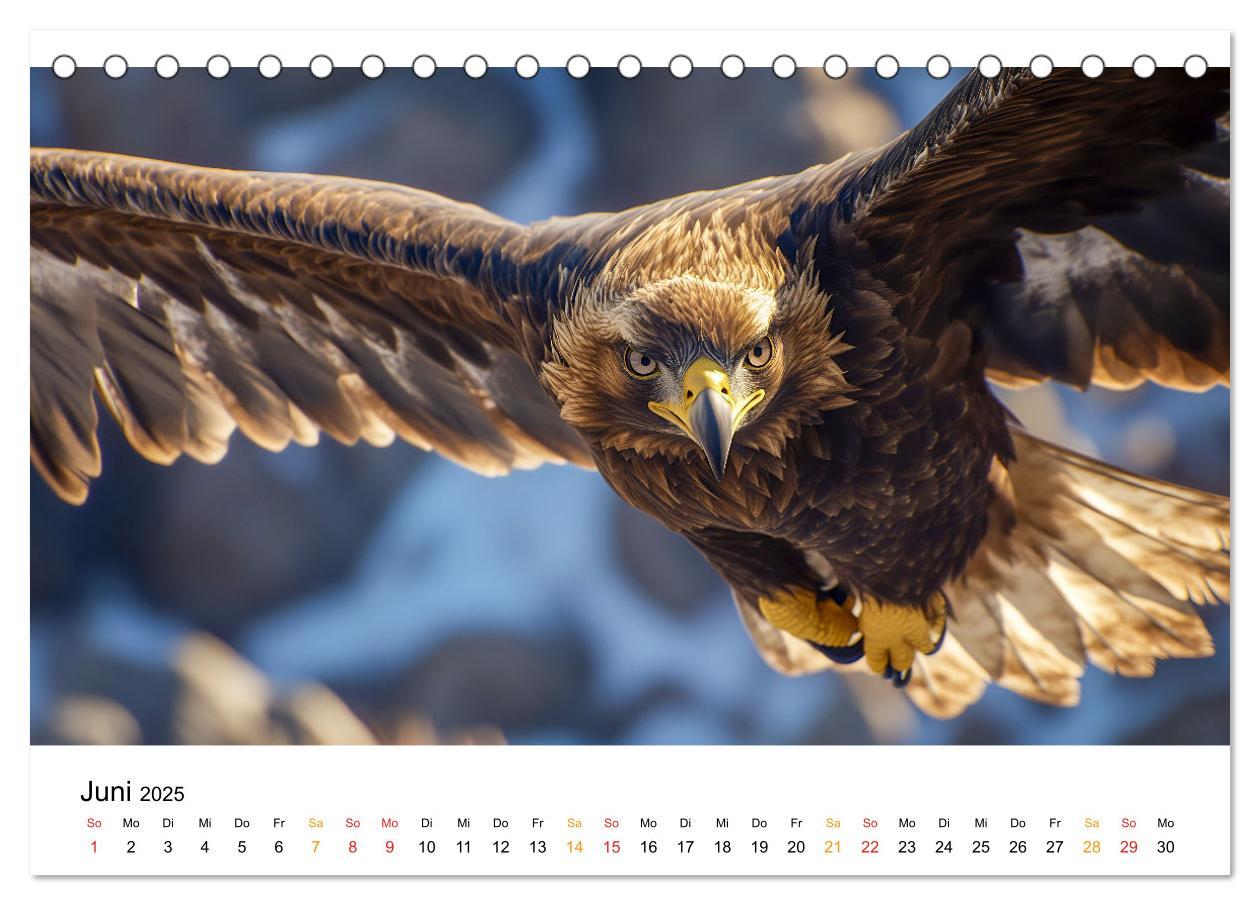 Bild: 9783457212998 | Wilde Tierwelt im Wald (Tischkalender 2025 DIN A5 quer), CALVENDO...