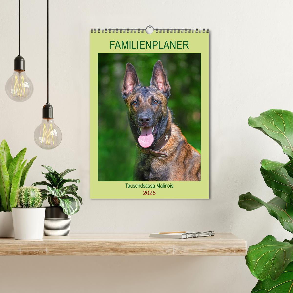 Bild: 9783435958788 | Familienplaner Tausendsassa Malinois (Wandkalender 2025 DIN A3...