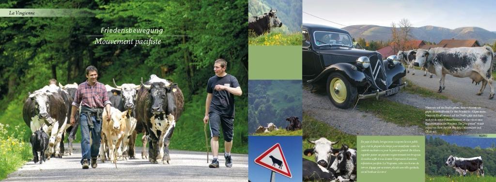 Bild: 9783944840055 | Elsass und Vogesen | Alsace, je t'aime | Rainer Spaniel | Buch | 2014