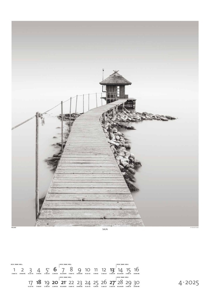 Bild: 4251734300676 | PALAZZI - Black &amp; White 2025 Wandkalender, 50x70cm, Posterkalender...