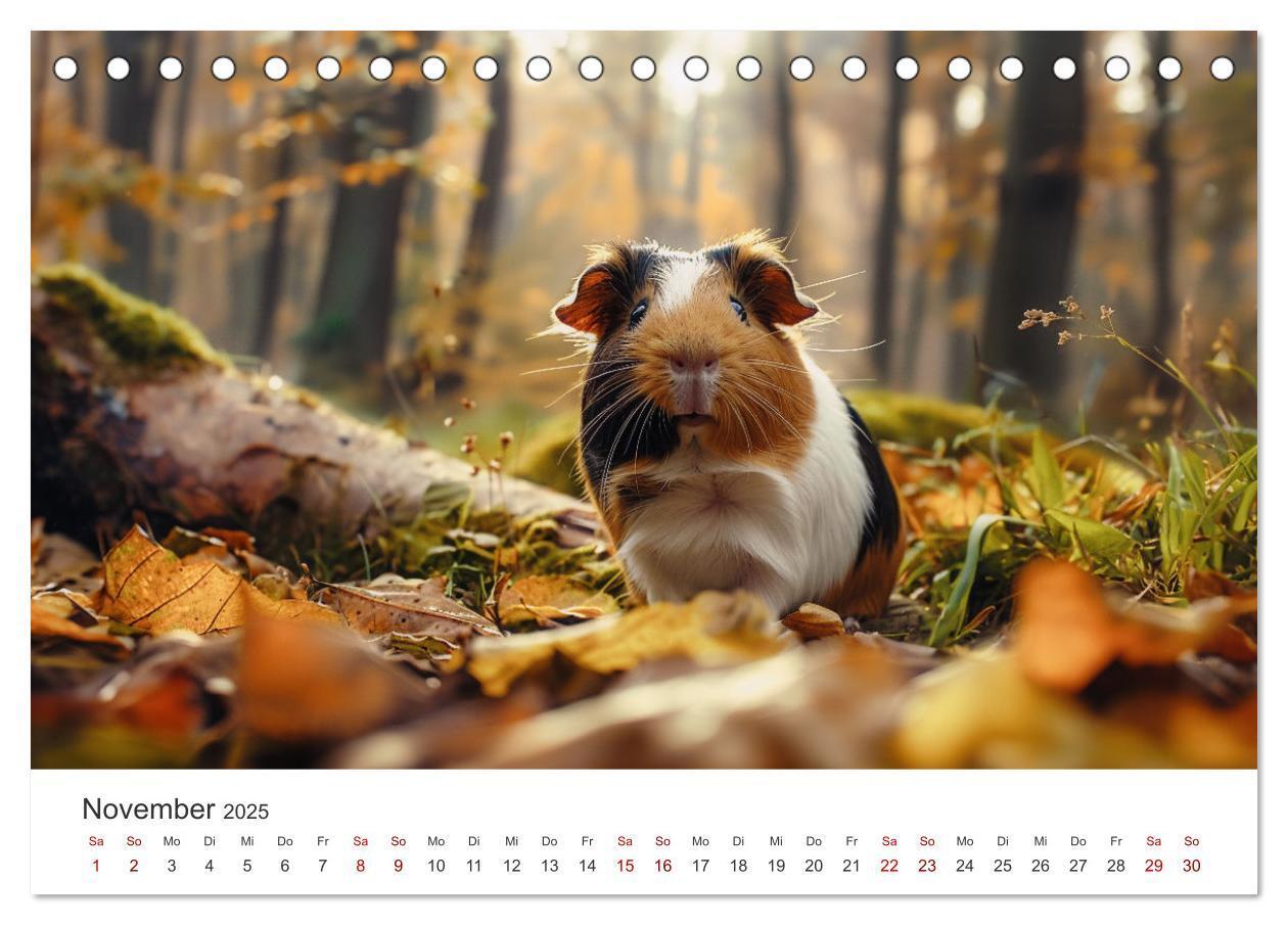 Bild: 9783383812378 | Wuschelbande - Ein Jahr voller Meerschweinchen (Tischkalender 2025...