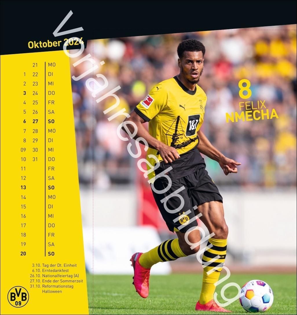 Bild: 9783756405473 | BVB Postkartenkalender 2025 | Heye | Kalender | Spiralbindung | 13 S.