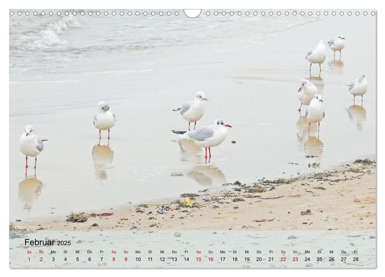 Bild: 9783383953569 | Ostseebad Kühlungsborn. Erholung mit allen Sinnen (Wandkalender...