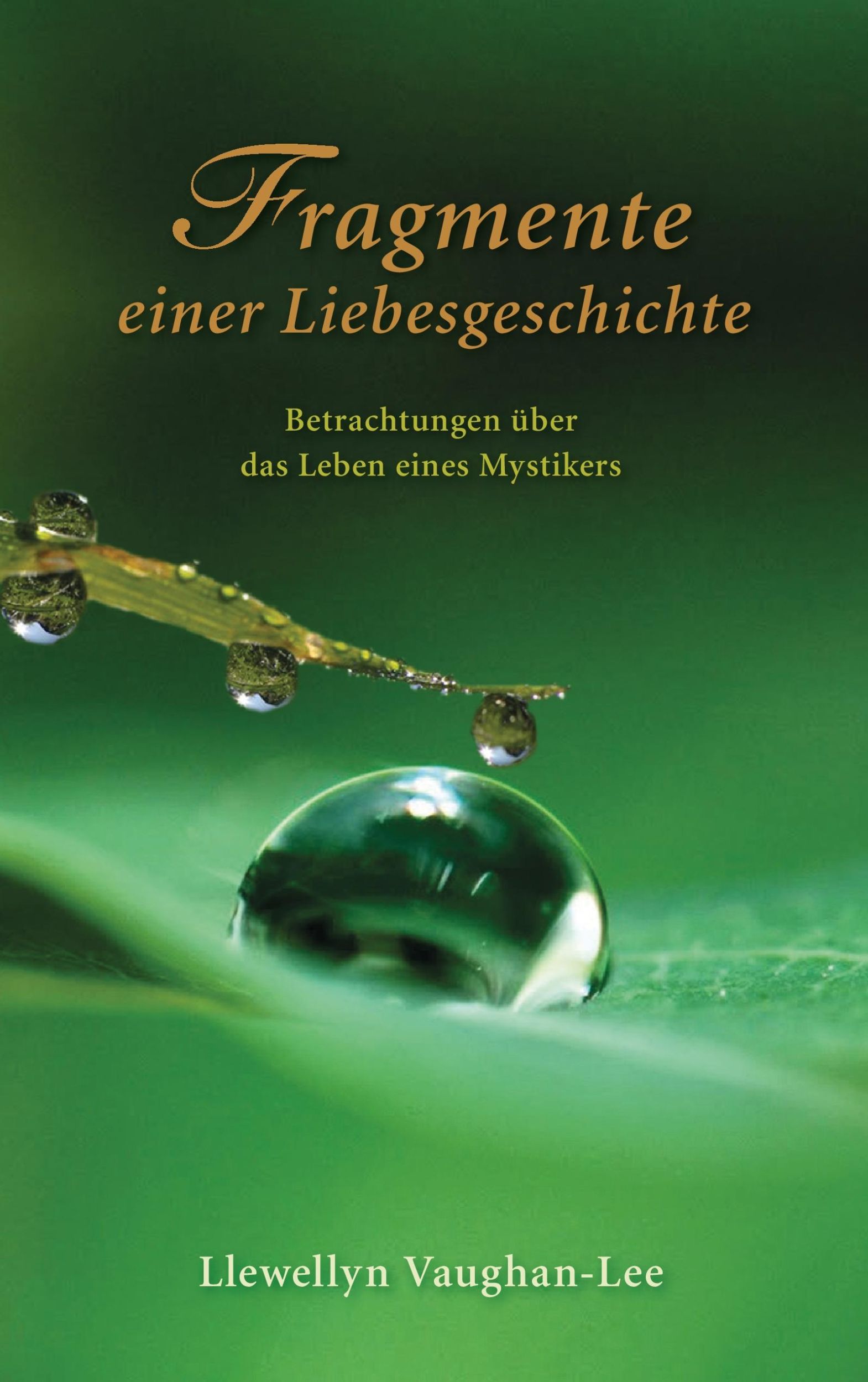 Cover: 9783952383025 | Fragmente einer Liebesgeschichte | Llewellyn Vanghan-Lee | Taschenbuch