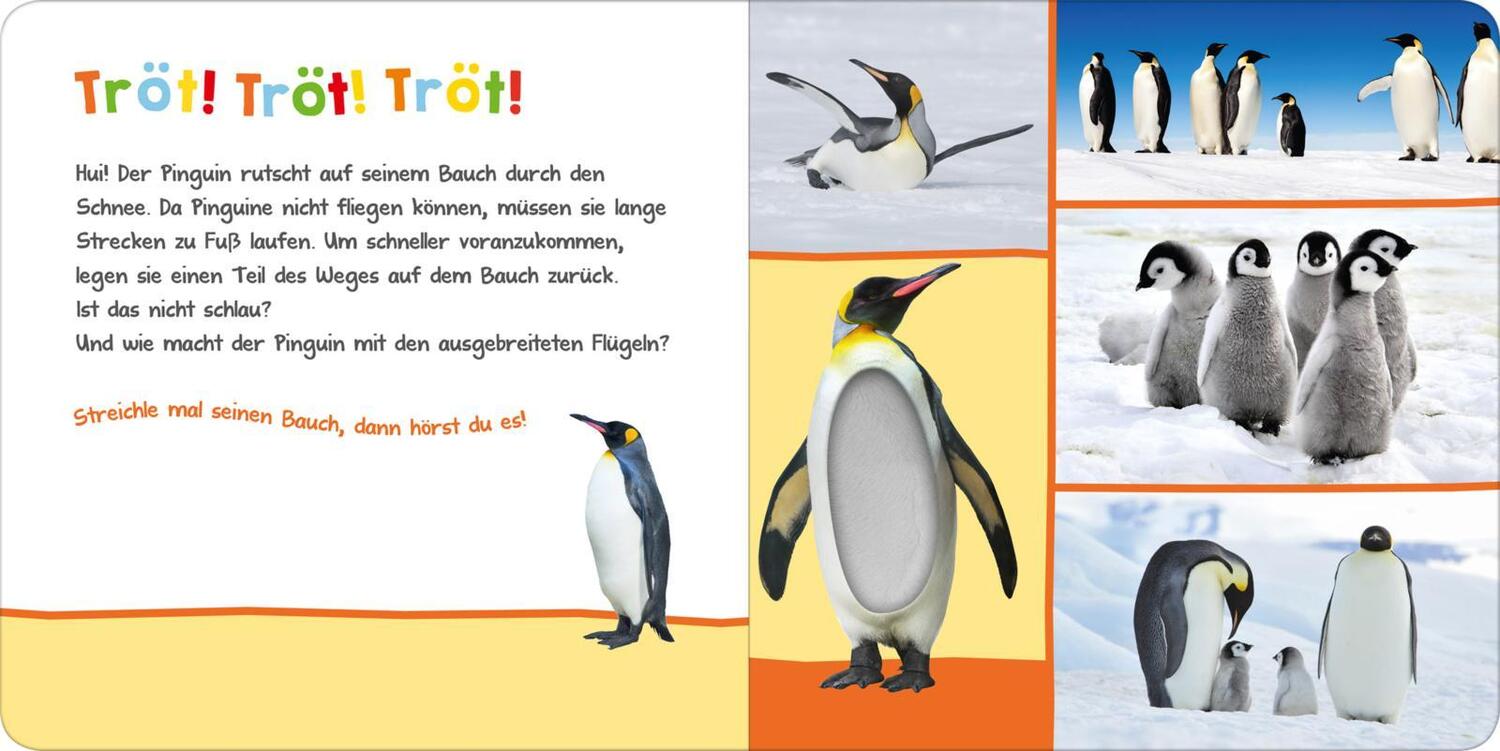 Bild: 9783845826370 | Hör mal rein, wer kann das sein? Im Winter | Buch | 12 S. | Deutsch