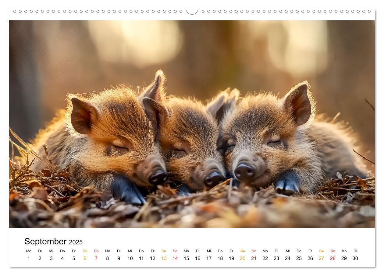 Bild: 9783457233672 | Wenn Tierchen träumen (Wandkalender 2025 DIN A2 quer), CALVENDO...