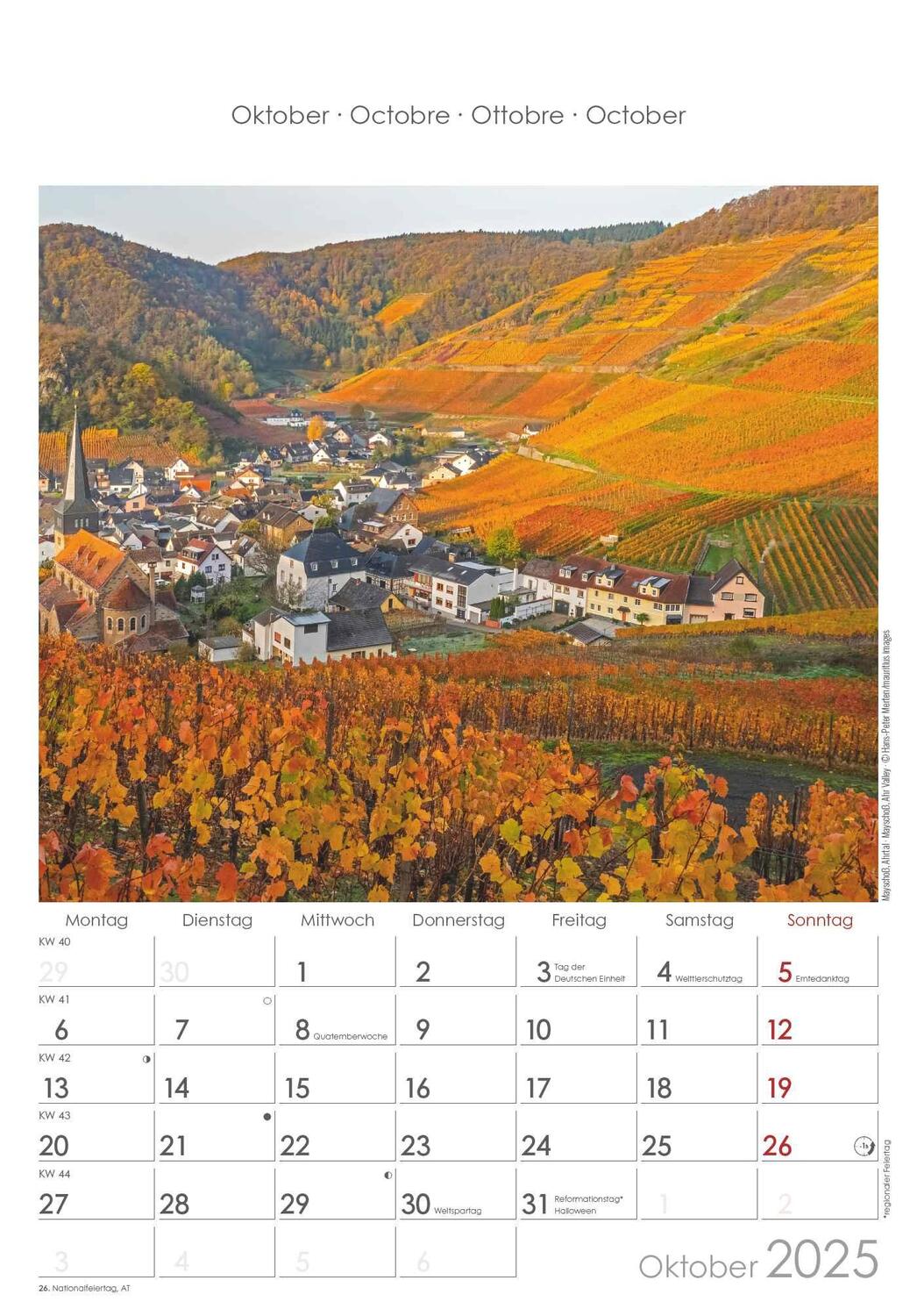 Bild: 4251732343200 | Rheinland-Pfalz 2025 - Bild-Kalender 23,7x34 cm - Regional-Kalender...