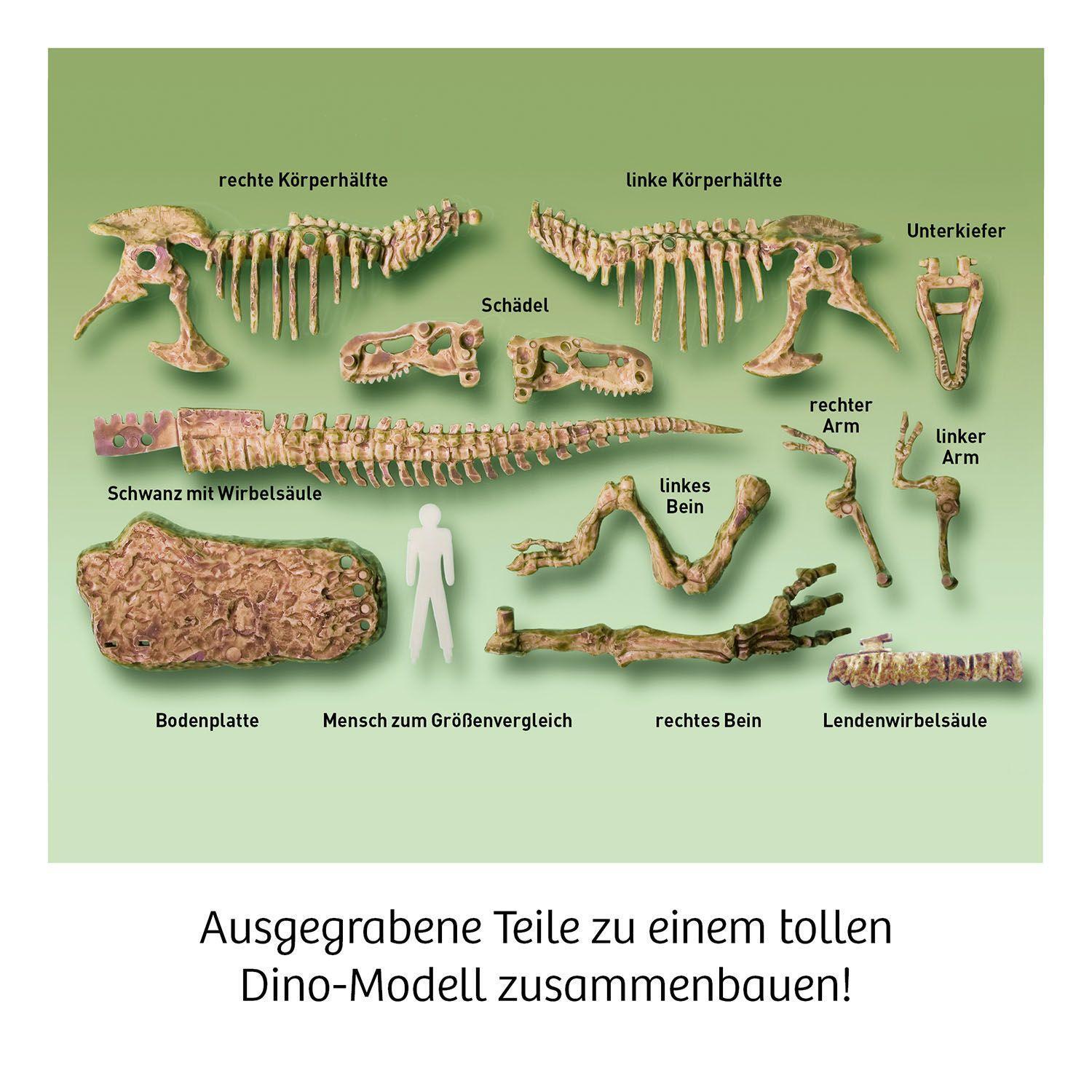 Bild: 4002051636159 | T-REX - 3D | Experimentierkasten | Spiel | Deutsch | 2022 | Kosmos