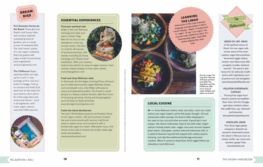 Bild: 9783734318719 | Vegan unterwegs | Das Handbuch für nachhaltiges Reisen | Lichtner