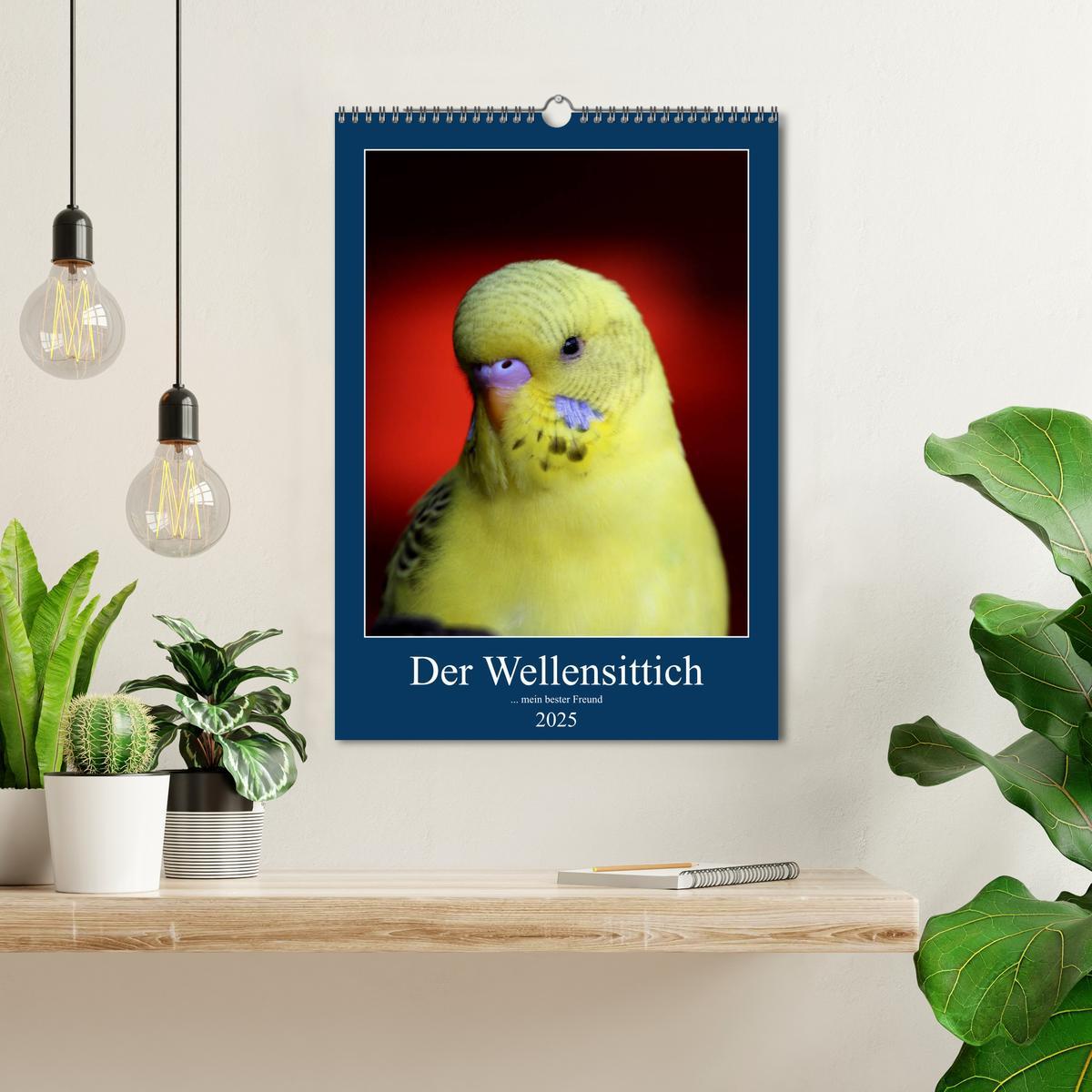 Bild: 9783435919291 | Der Wellensittich - mein bester Freund (Wandkalender 2025 DIN A3...