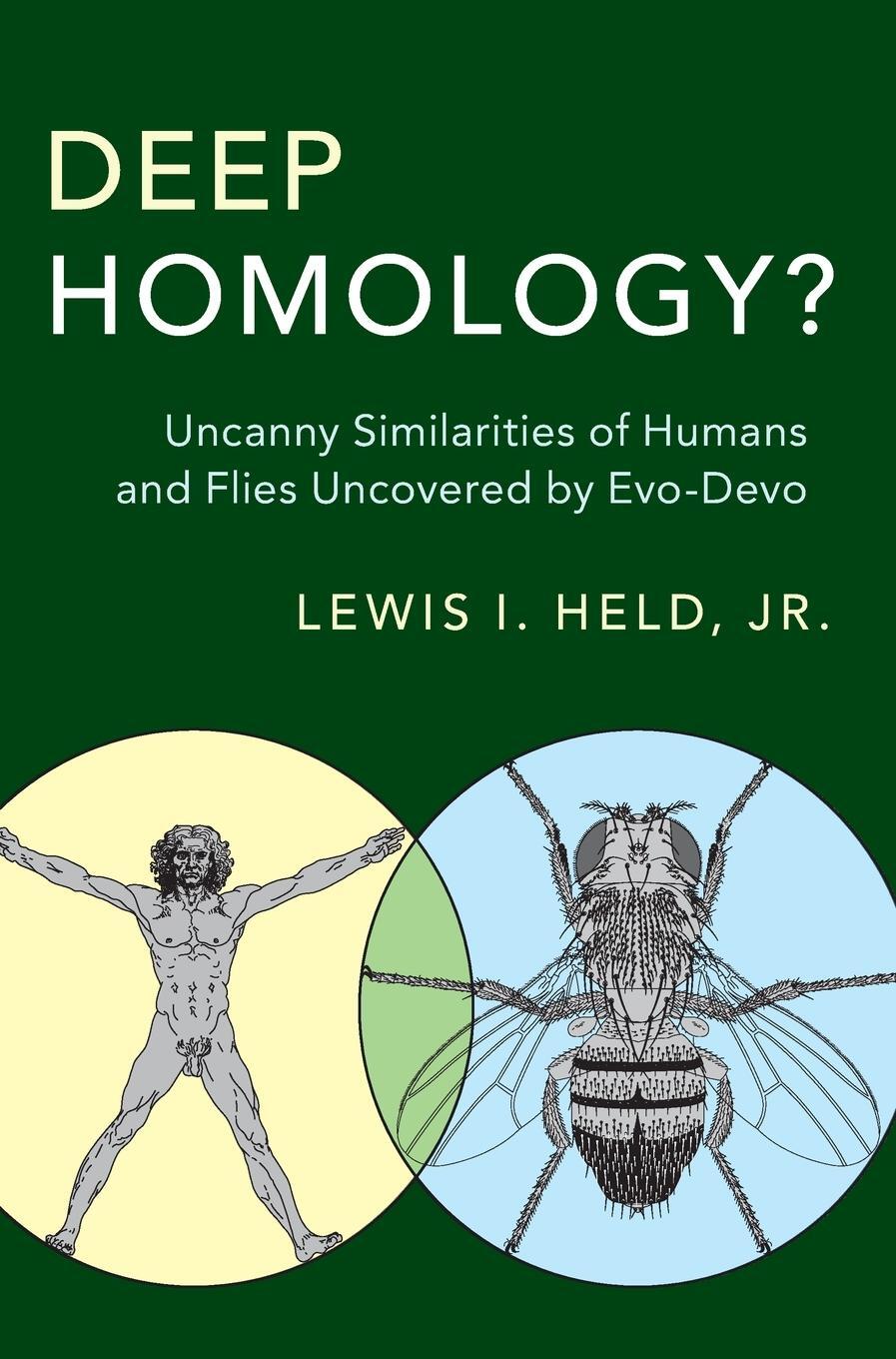 Cover: 9781107147188 | Deep Homology? | Jr Lewis I. Held | Buch | HC gerader Rücken kaschiert