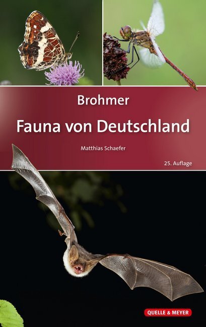 Cover: 9783494017600 | Brohmer - Fauna von Deutschland | Matthias Schaefer | Buch | VI | 2018