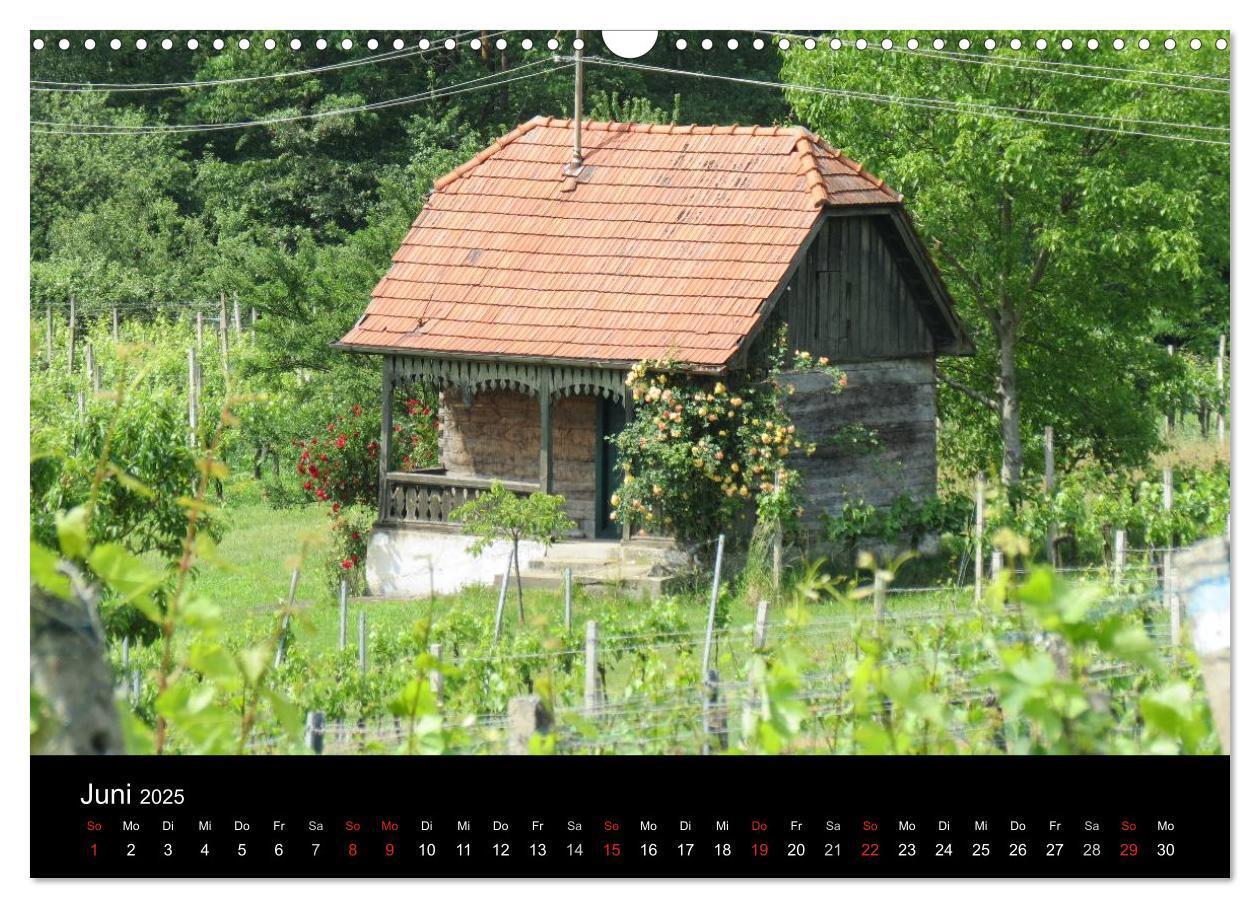 Bild: 9783435758135 | Weinidylle im Südburgenland (Wandkalender 2025 DIN A3 quer),...