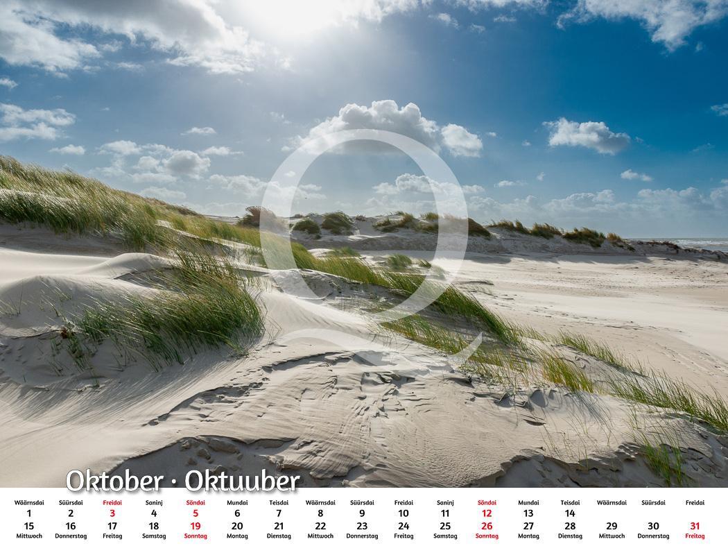 Bild: 9783924422028 | Amrum 2025 | Foto-Kalender | Kalender | Deutsch | 2025 | Quedens, Leif