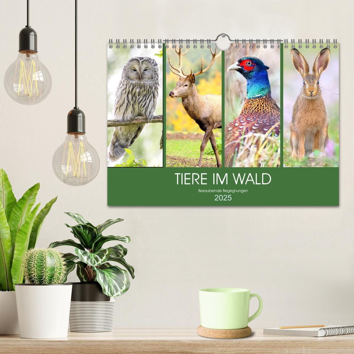 Bild: 9783435011278 | Tiere im Wald. Bezaubernde Begegnungen (Wandkalender 2025 DIN A4...