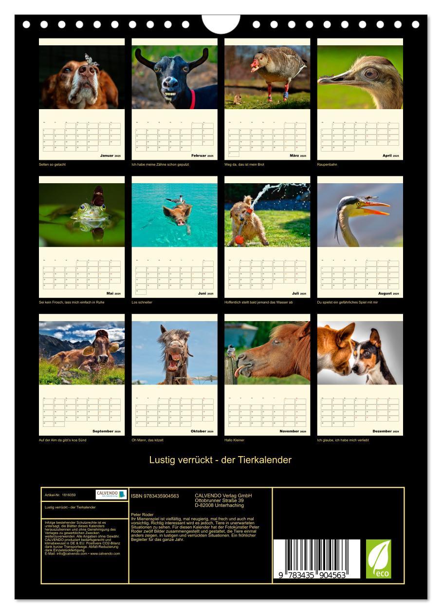 Bild: 9783435904563 | Lustig verrückt - der Tierkalender (Wandkalender 2025 DIN A4 hoch),...