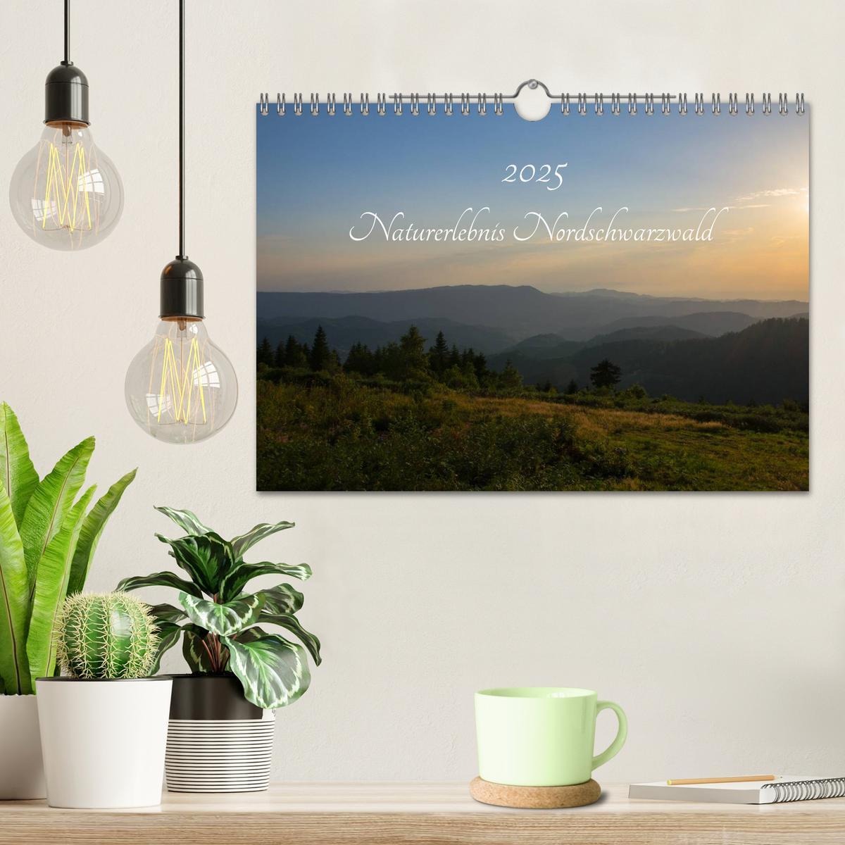 Bild: 9783435580118 | Naturerlebnis Nordschwarzwald (Wandkalender 2025 DIN A4 quer),...