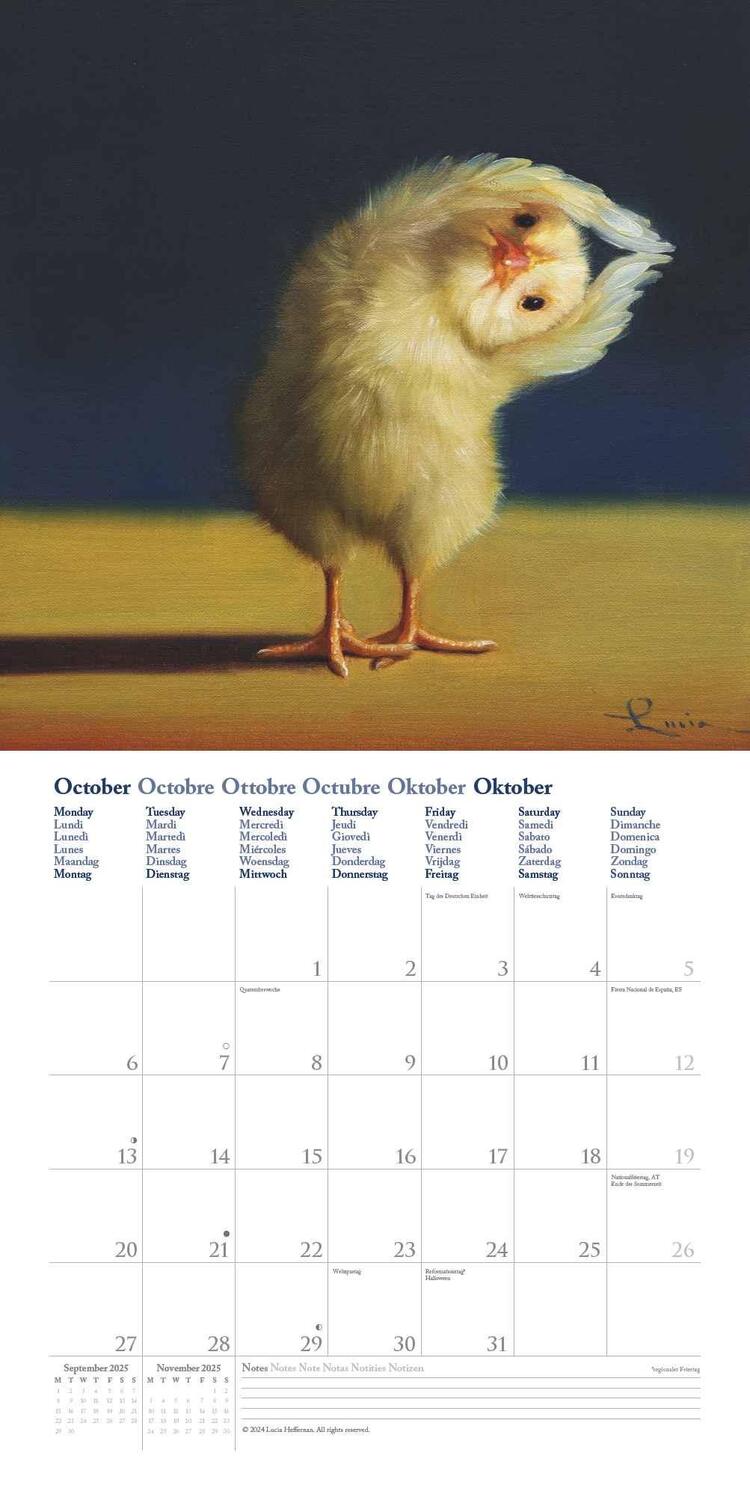 Bild: 4250809653914 | Lucia Heffernan: Yoga Chicks 2025 ¿ Broschürenkalender ¿ mit...