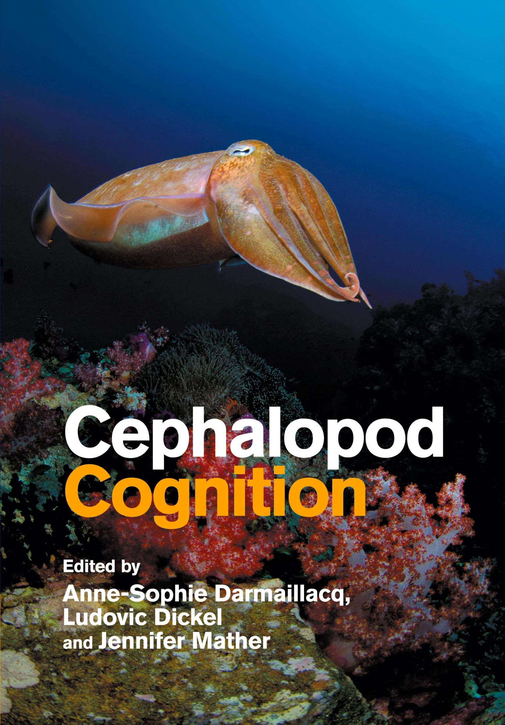 Cover: 9781108464697 | Cephalopod Cognition | Anne-Sophie Darmaillacq (u. a.) | Taschenbuch