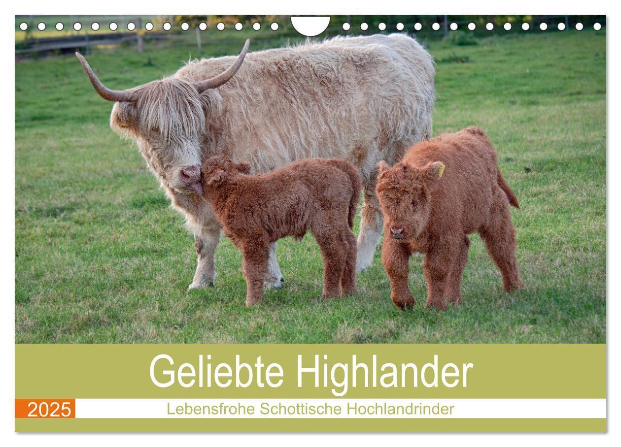 Cover: 9783435101252 | Geliebte Highlander (Wandkalender 2025 DIN A4 quer), CALVENDO...