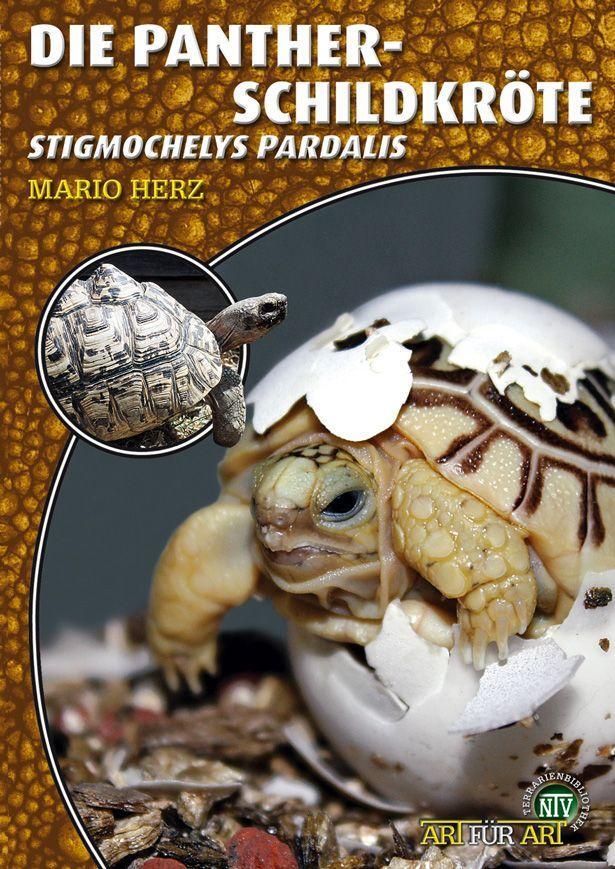 Cover: 9783866591813 | Die Pantherschildkröte | Stigmochelys Pardalis | Mario Herz | Buch