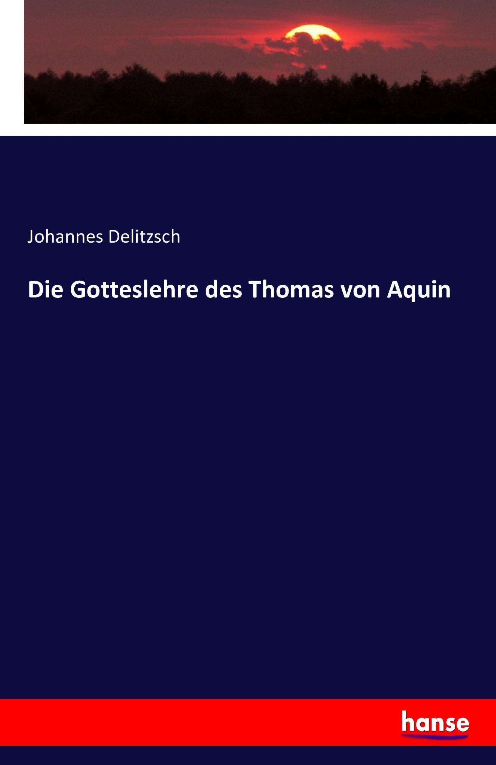 Cover: 9783743356078 | Die Gotteslehre des Thomas von Aquin | Johannes Delitzsch | Buch