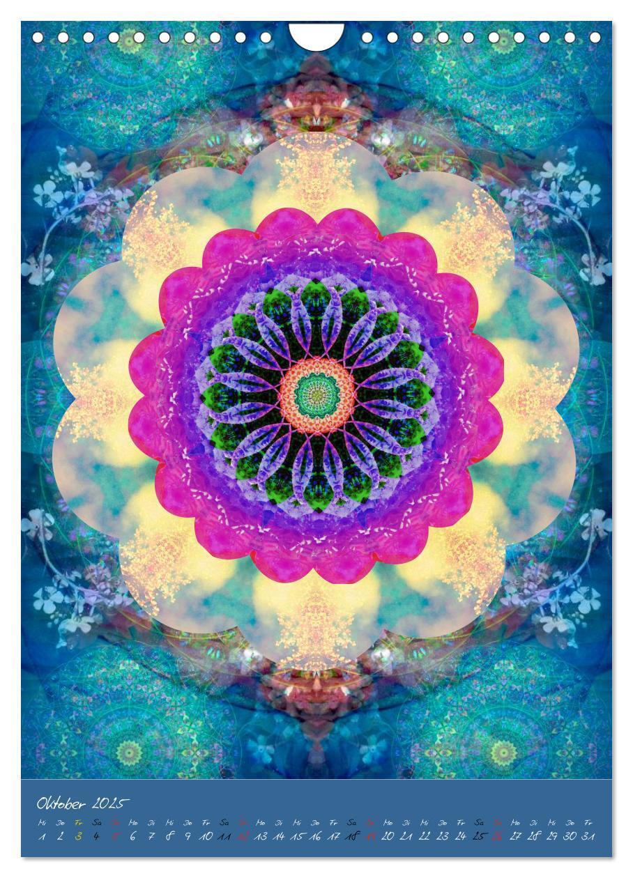 Bild: 9783457043004 | MANDALAS der Natur (Wandkalender 2025 DIN A4 hoch), CALVENDO...