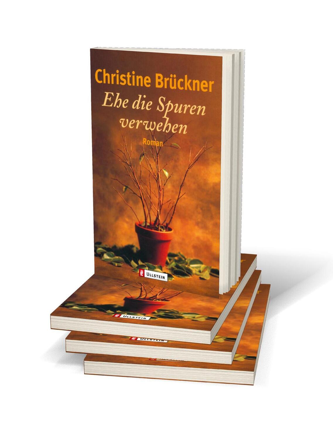 Bild: 9783548224367 | Ehe die Spuren verwehen | Christine Brückner | Taschenbuch | 224 S.