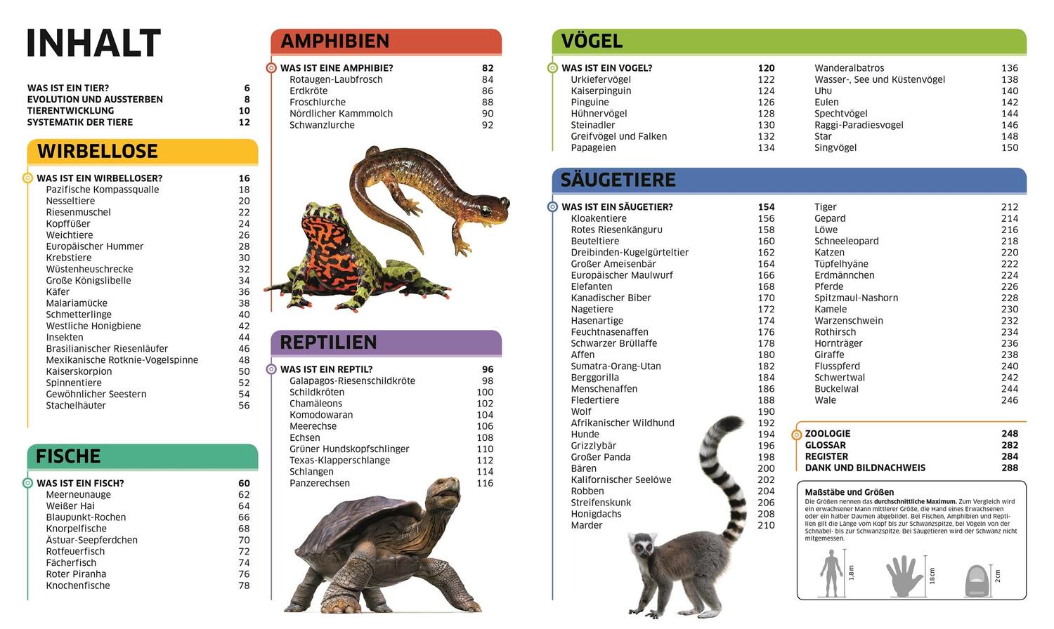 Bild: 9783831033409 | Wissen. Tiere | Die Tierwelt in spektakulären Bildern | Buch | 288 S.