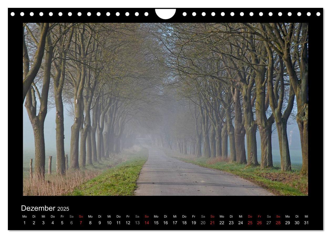 Bild: 9783435626861 | Märchenhafter Reinhardswald und Urwald Sababurg (Wandkalender 2025...