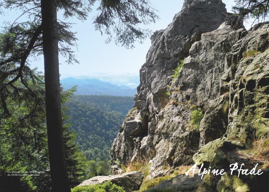 Bild: 9783862467327 | Alpine Pfade Baden-Württemberg | Philipp Sauer | Taschenbuch | Deutsch