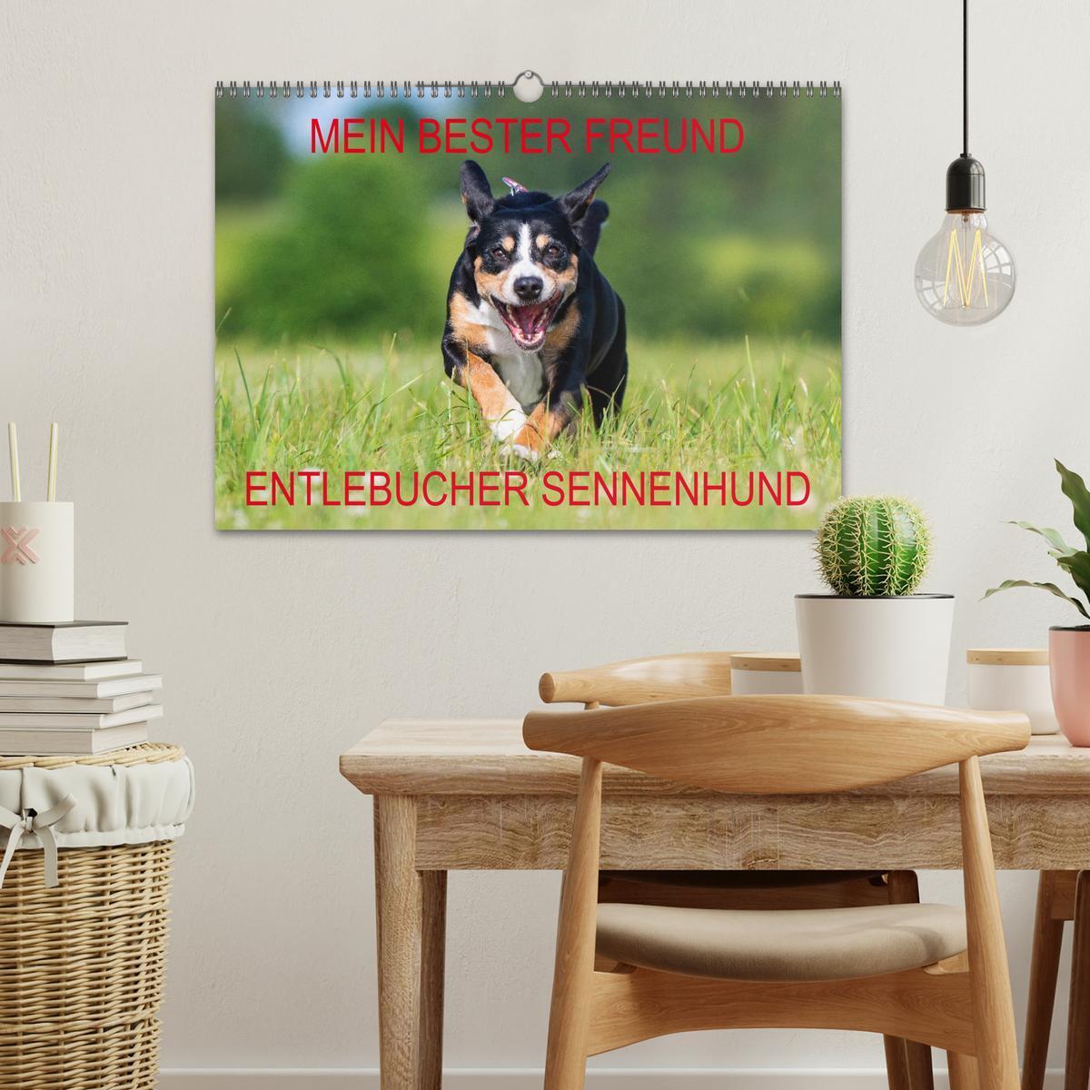 Bild: 9783435313051 | Mein bester Freund - Entlebucher Sennenhund (Wandkalender 2025 DIN...