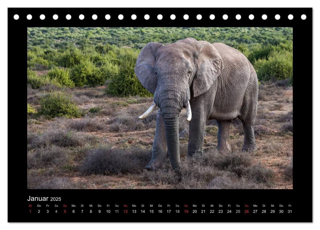 Bild: 9783435713264 | Südafrika - Garden Route (Tischkalender 2025 DIN A5 quer), CALVENDO...