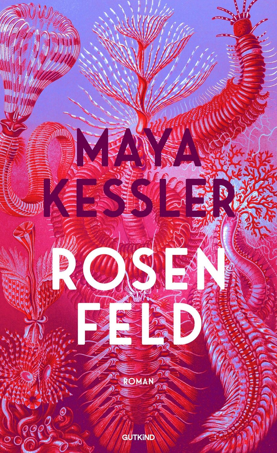 Cover: 9783989410183 | Rosenfeld | Roman Der große Bestseller aus Israel | Maya Kessler